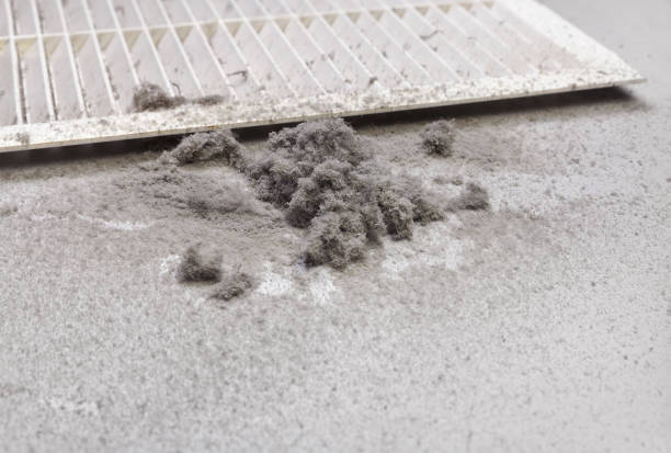 Best Air Duct Cleaning Near Me  in Maumee, OH