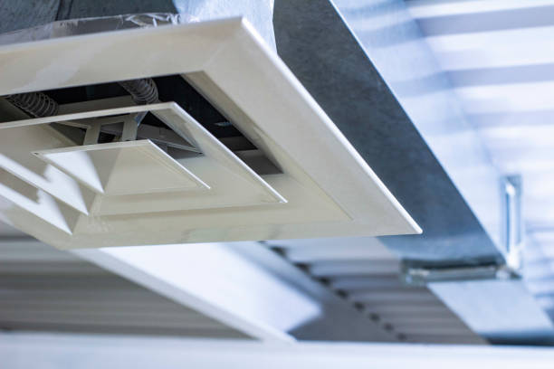 Best Air Duct Sanitizing Services  in Maumee, OH
