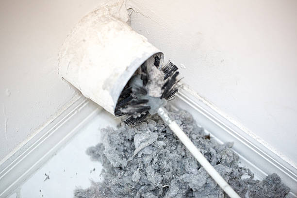 Best HVAC System Cleaning  in Maumee, OH